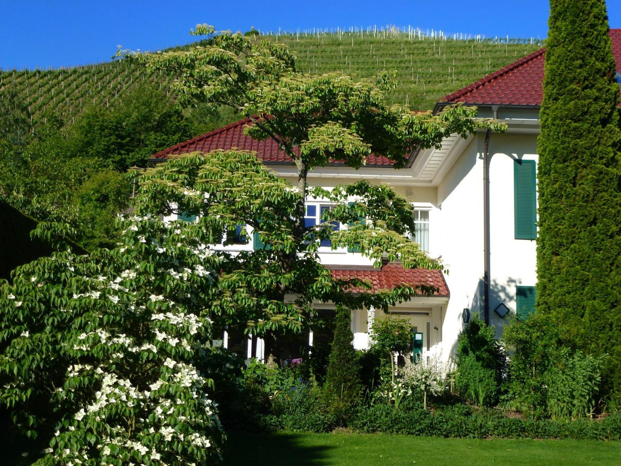Baumanns Landhaus Durbach Pokoj fotografie
