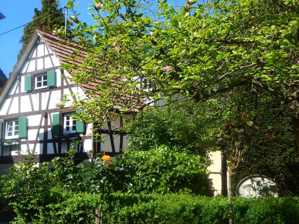 Baumanns Landhaus Durbach Exteriér fotografie
