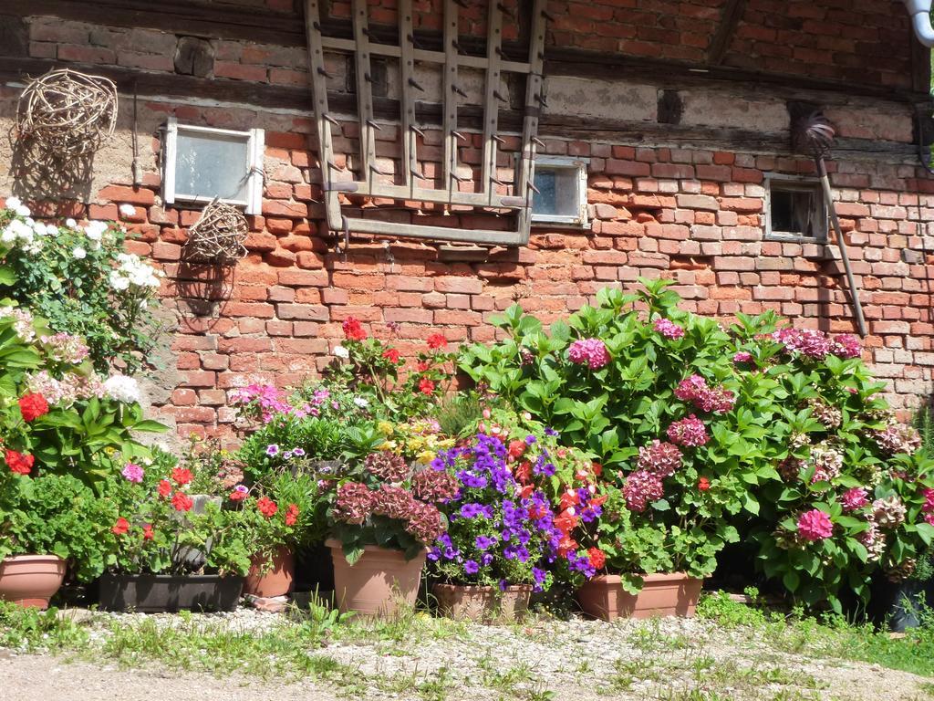 Baumanns Landhaus Durbach Exteriér fotografie
