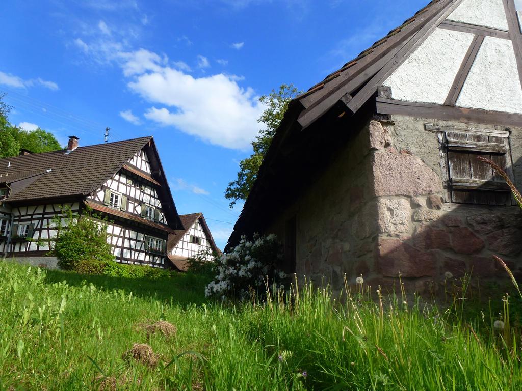 Baumanns Landhaus Durbach Exteriér fotografie