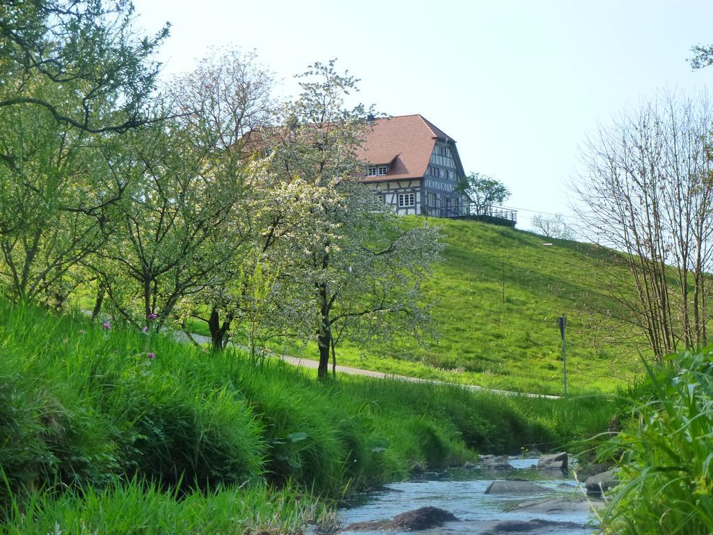 Baumanns Landhaus Durbach Exteriér fotografie