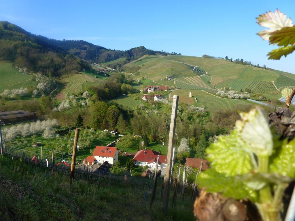 Baumanns Landhaus Durbach Exteriér fotografie